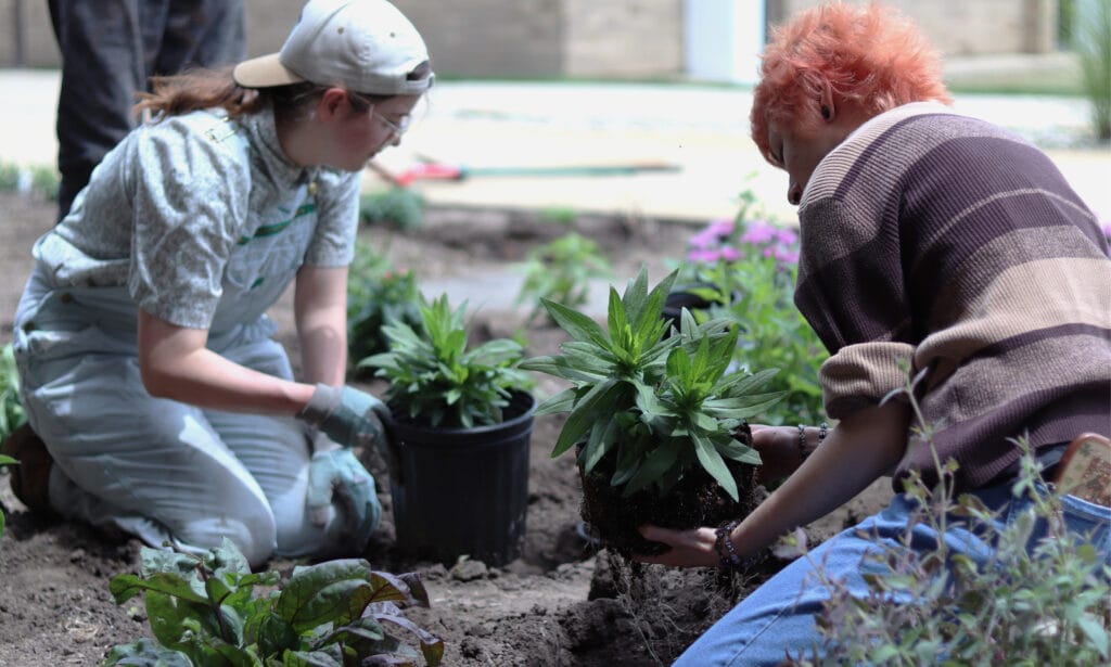 2 Jackson College students planting flowers in the Pollination Station located on Jackson College Central Campus