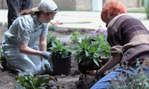 2 Jackson College students planting flowers in the Pollination Station located on Jackson College Central Campus