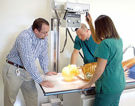 Professor and two students over radiography mannequin