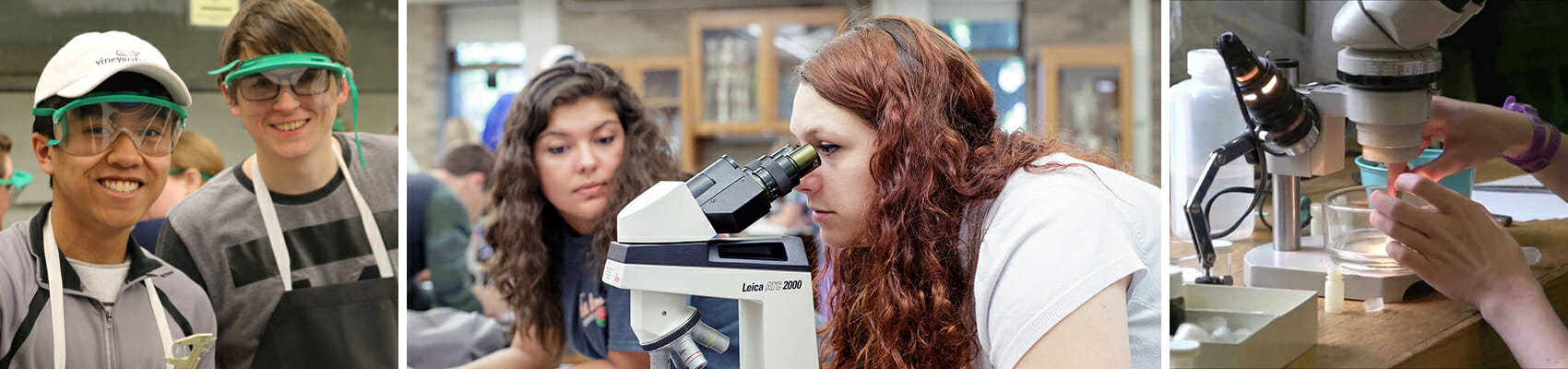 Science Engineering Pathway Banner