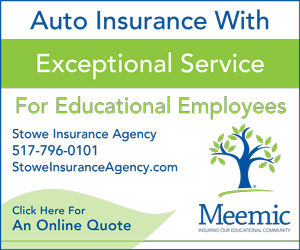 meemic insurance flyer